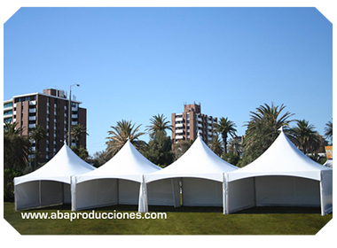 RENTA DE CARPAS EN EL DF SERVICIO EN TODO EL DF Y ESTADO DE MEXICO