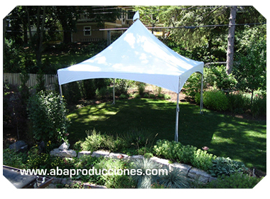 RENTA DE CARPAS ECONOMICAS EN EL DF SERVICIO EN TODO EL DF Y ESTADO DE MEXICO